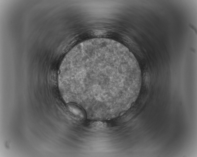 X0000103140421200809121758