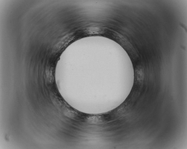 X0000103140422200809121758