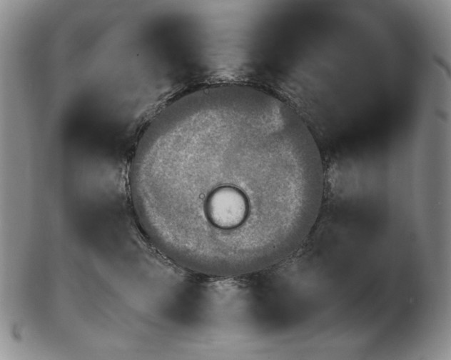 X0000103140423200809121758