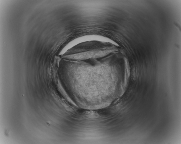 X0000103140424200809121758