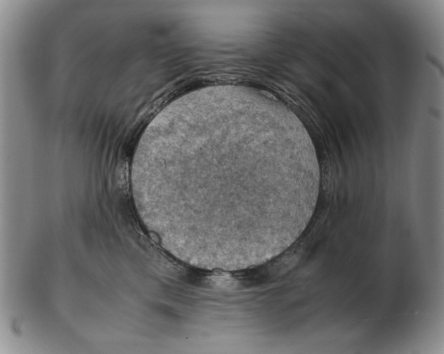 X0000103140425200809121758