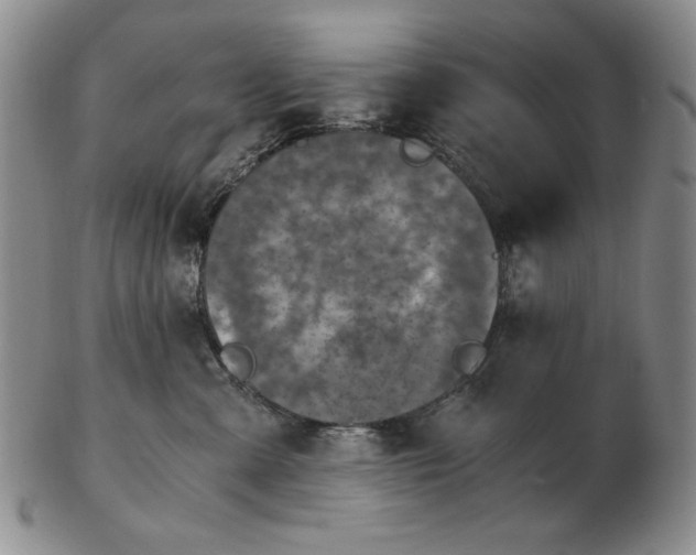 X0000103140427200809121758