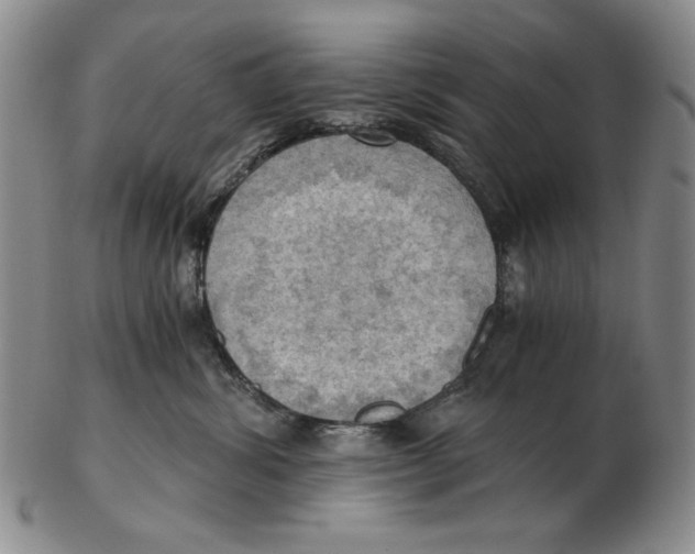 X0000103140428200809121758