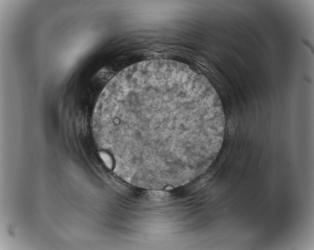 X0000103140429200809121758