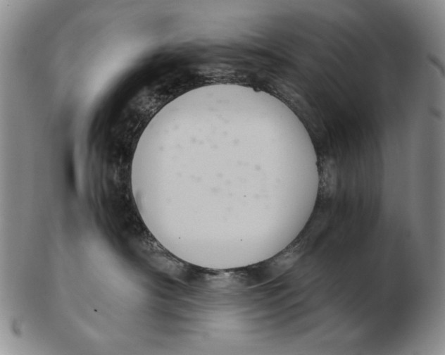 X0000103140430200809121758