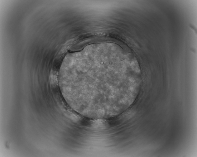 X0000103140432200809121758