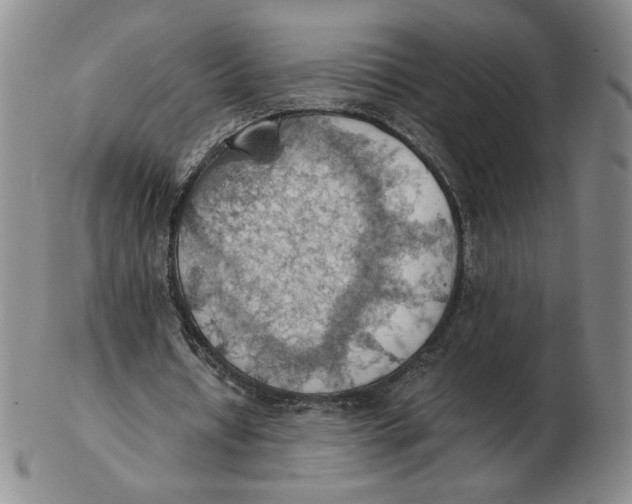 X0000103140434200809121757