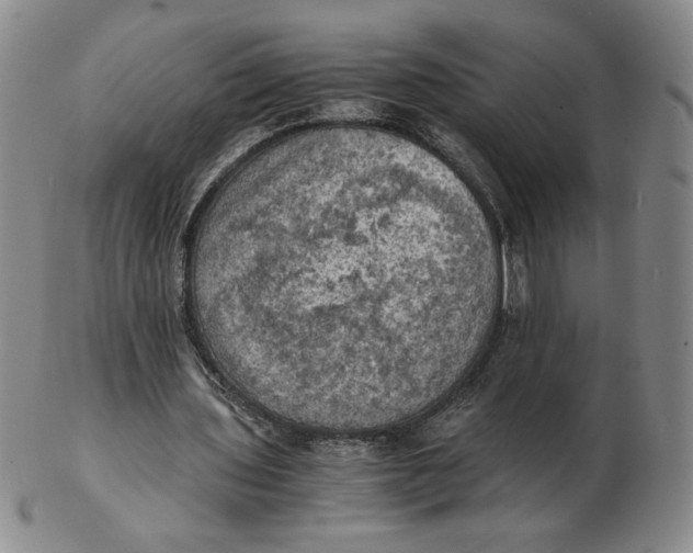 X0000103140435200809121757