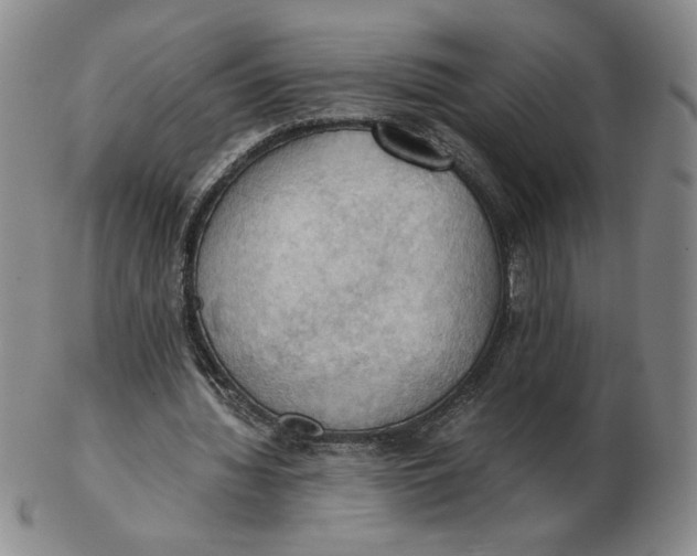 X0000103140436200809121757