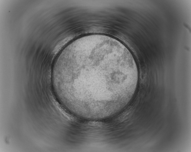 X0000103140437200809121757