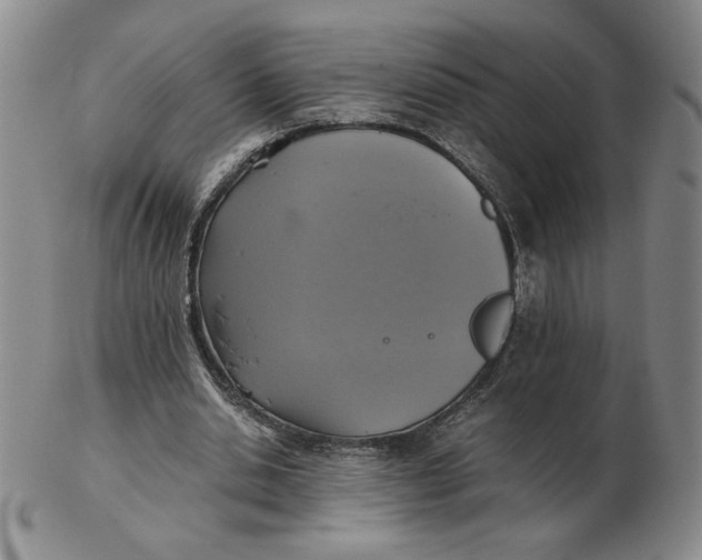 X0000103140438200809121757