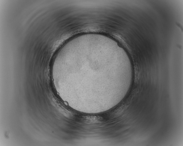 X0000103140439200809121757