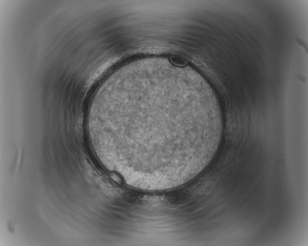 X0000103140440200809121757