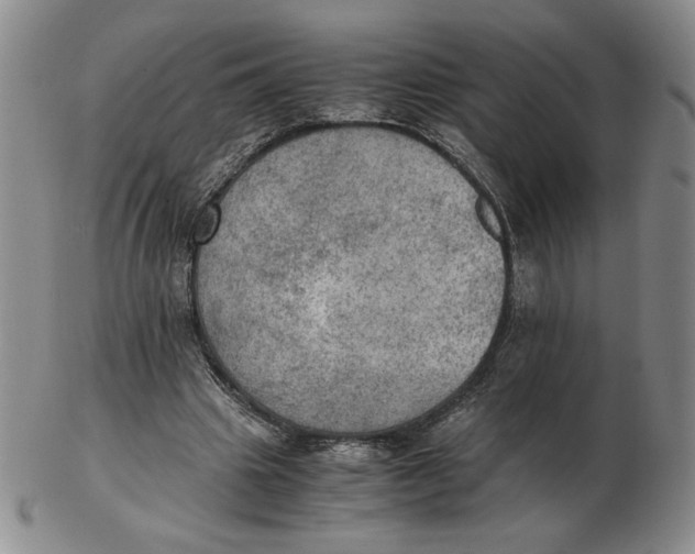 X0000103140441200809121757