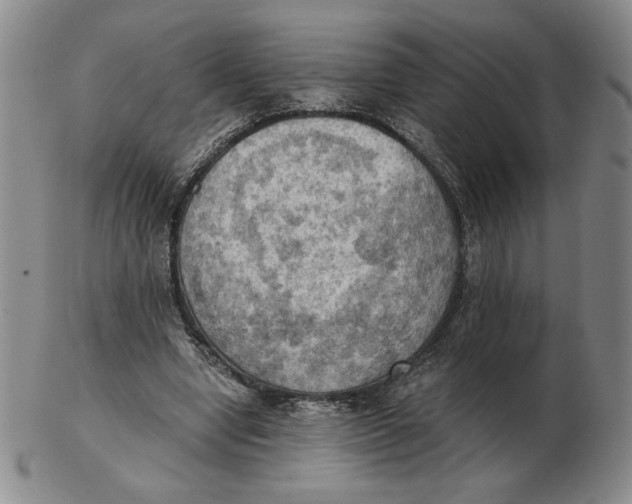 X0000103140442200809121757