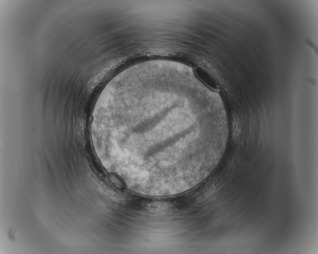 X0000103140444200809121757