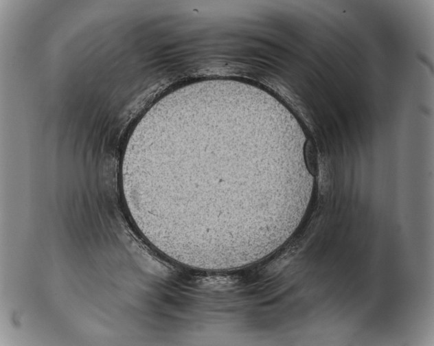 X0000103140445200809121757