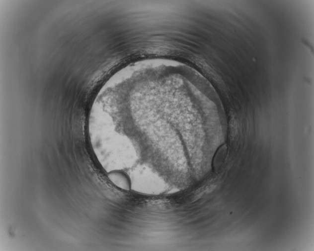 X0000103140446200809121757