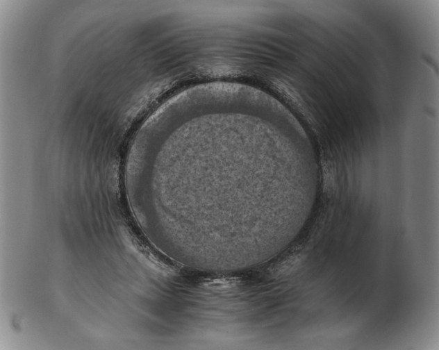 X0000103140447200809121757