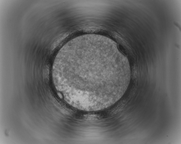 X0000103140448200809121757