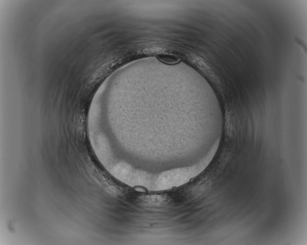 X0000103140449200809121757