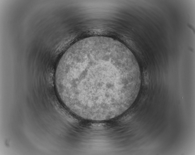 X0000103140450200809121757