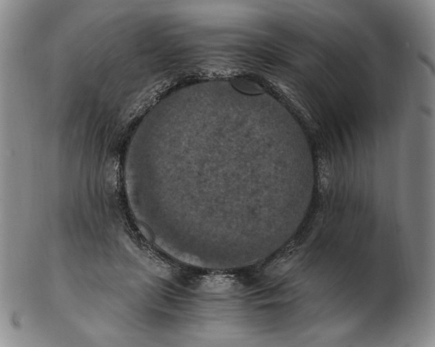 X0000103140451200809121757