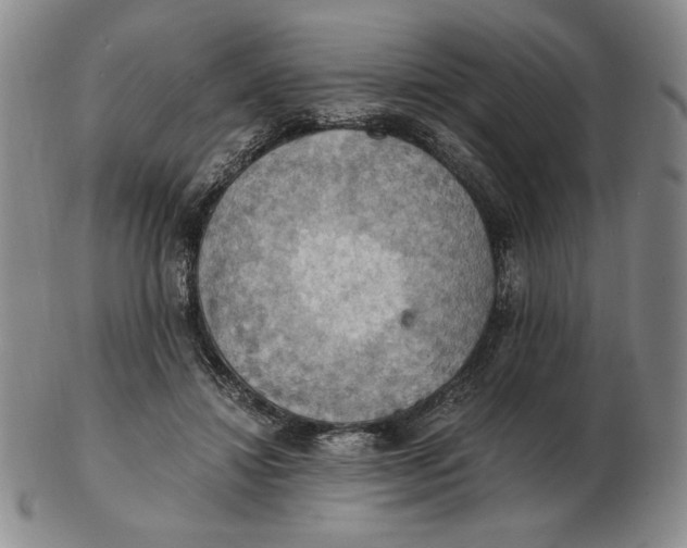 X0000103140452200809121757