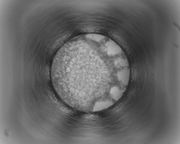 X0000103140453200809121757