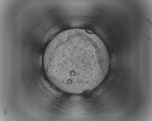 X0000103140454200809121757