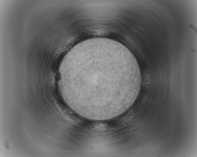 X0000103140456200809121757