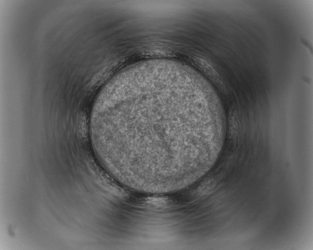 X0000103140457200809121757