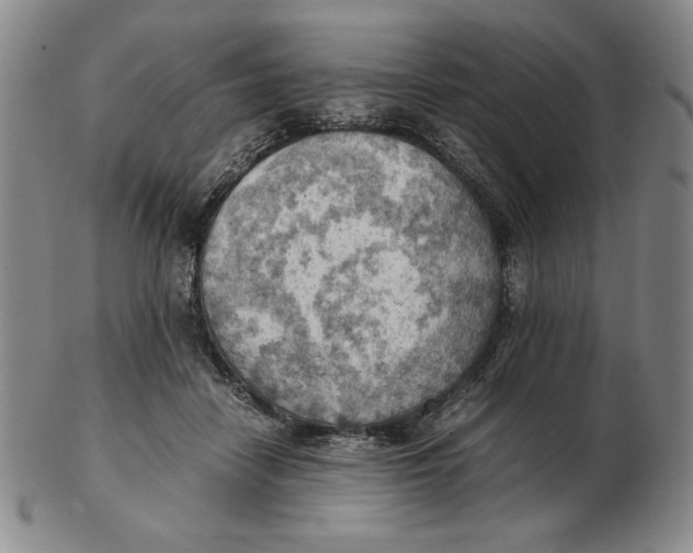 X0000103140458200809121757