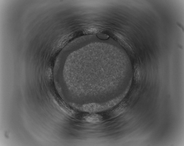 X0000103140459200809121757