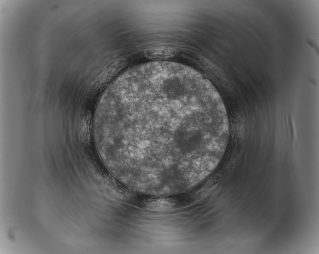 X0000103140460200809121757