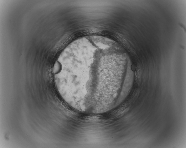 X0000103140462200809121757