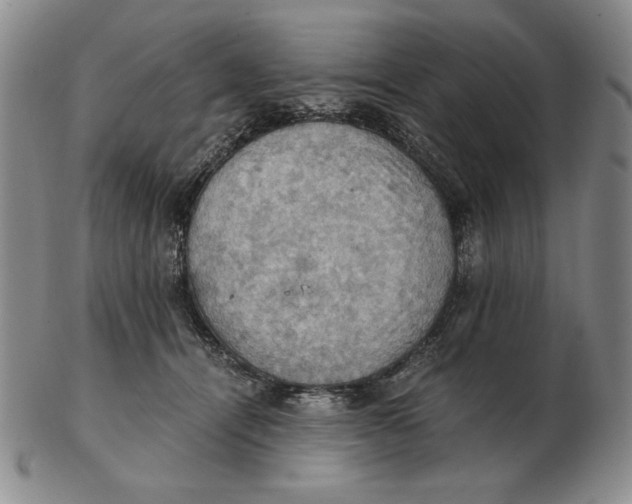 X0000103140464200809121757