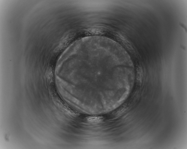 X0000103140465200809121757