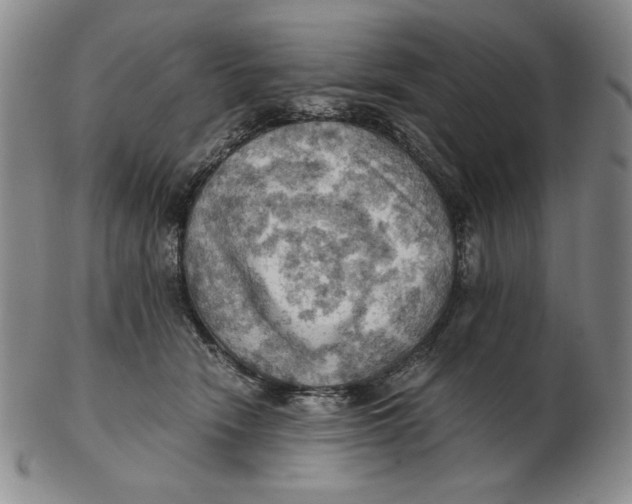 X0000103140466200809121758