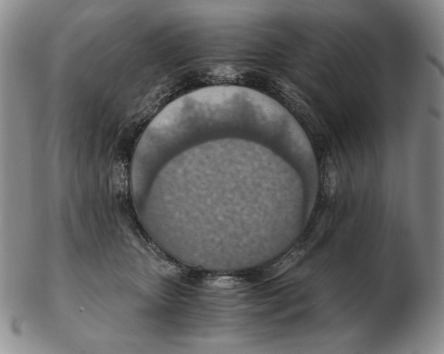 X0000103140467200809121758