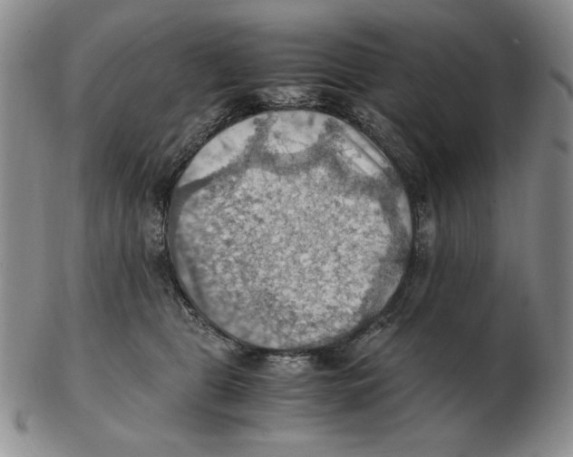 X0000103140469200809121758