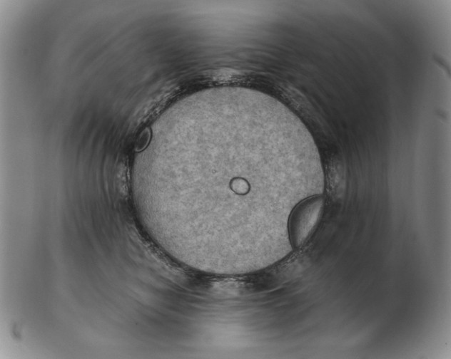 X0000103140470200809121758