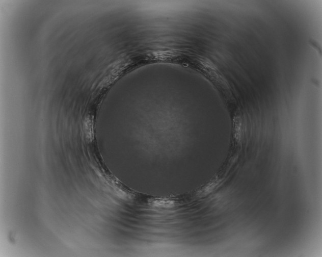 X0000103140471200809121758