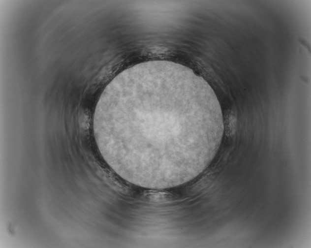 X0000103140472200809121758