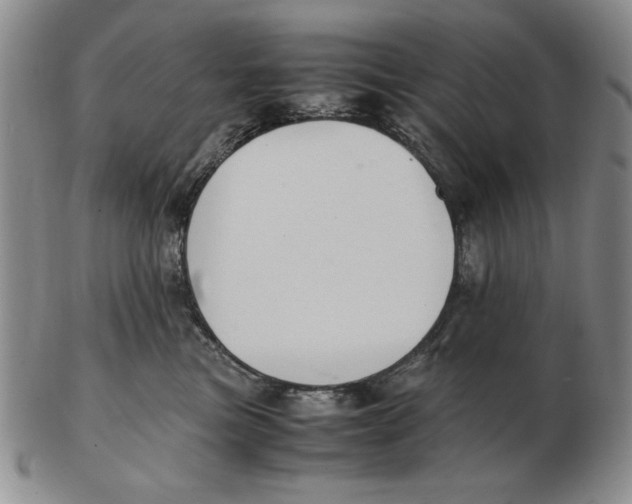 X0000103140473200809121758