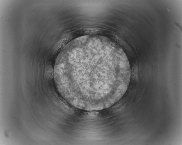 X0000103140474200809121758