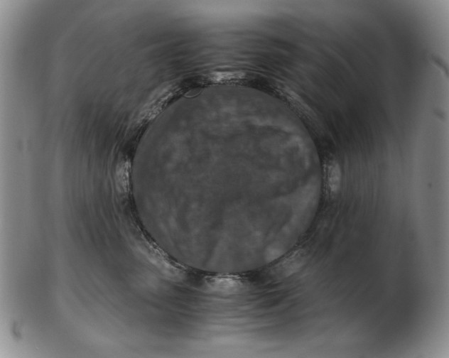 X0000103140475200809121758