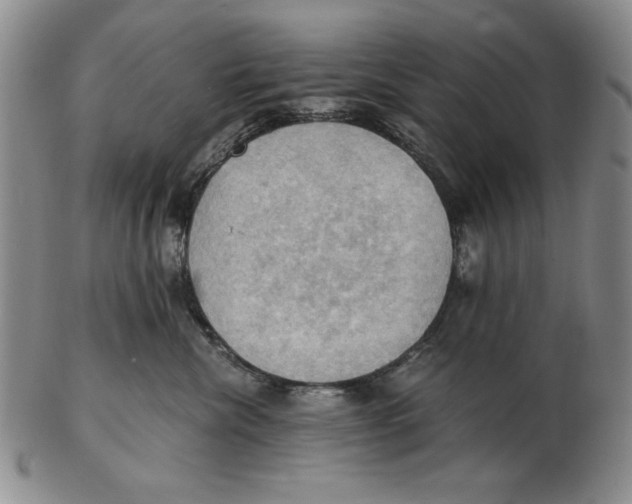 X0000103140476200809121758