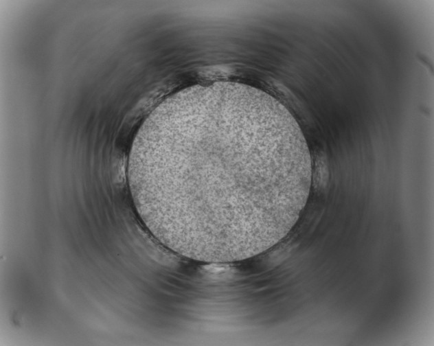 X0000103140477200809121758