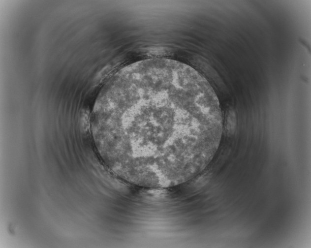 X0000103140478200809121758